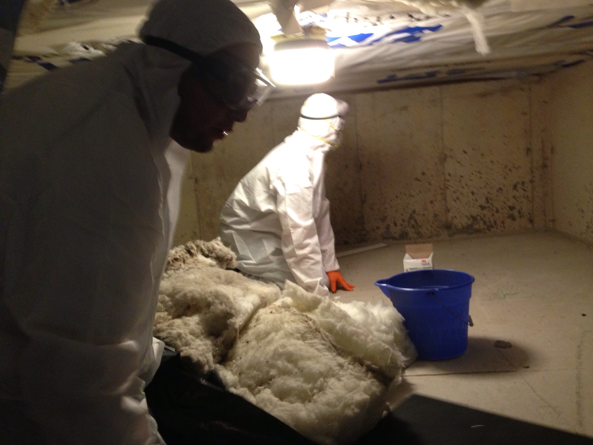 men cleaning mold