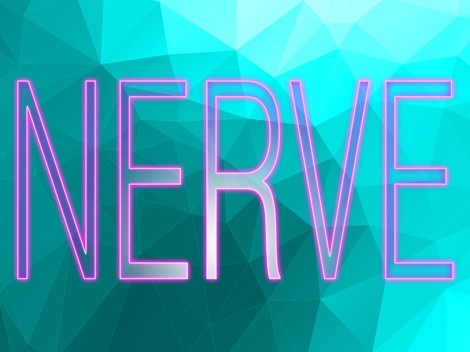 The word nerve